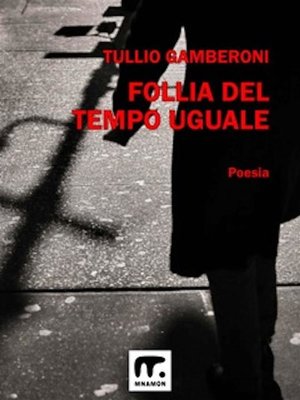 cover image of Follia del tempo uguale